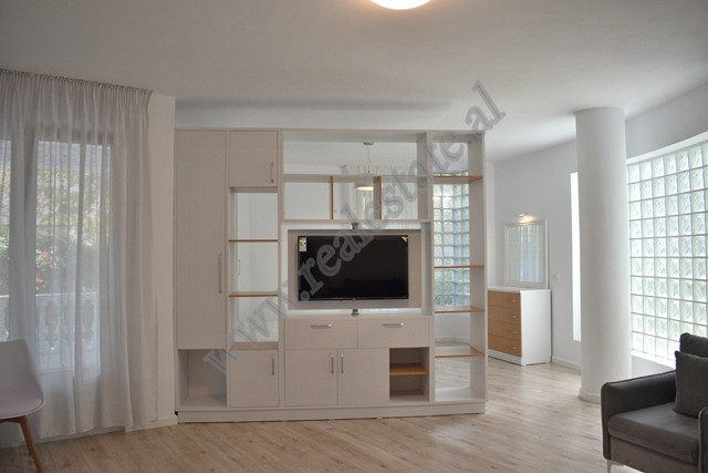 Apartament 1+1 per qera prane rruges Vilat Gjermane ne Tirane.
Apartamenti pozicionohet ne katin e 